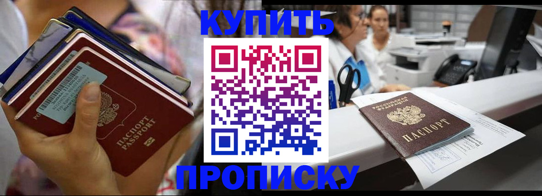 прописка для школы в Курчалом